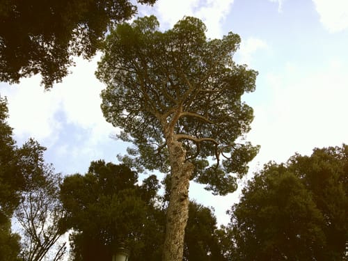 Customer photo review of NUVINT - Digitalkamera