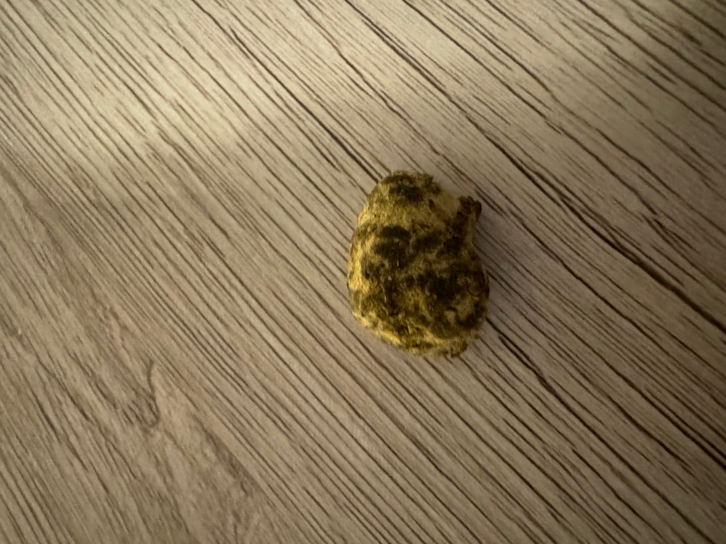 Customer photo review of THX Moon Rocks - 70%