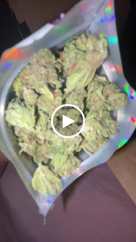 Customer video review of Greenhouse Smalls