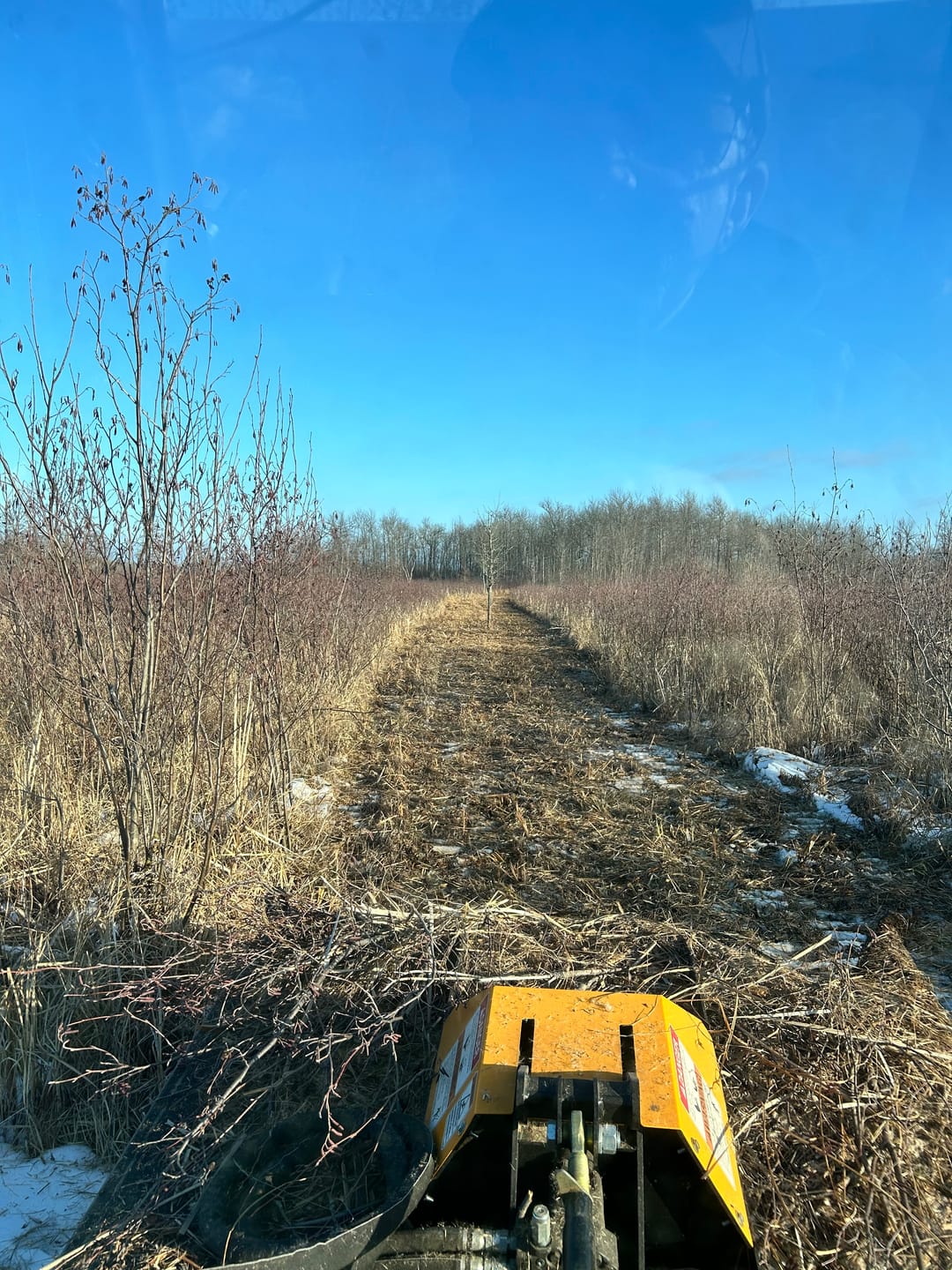 Customer photo review of Brush Buster - Rotary Brush Cutter/Mower