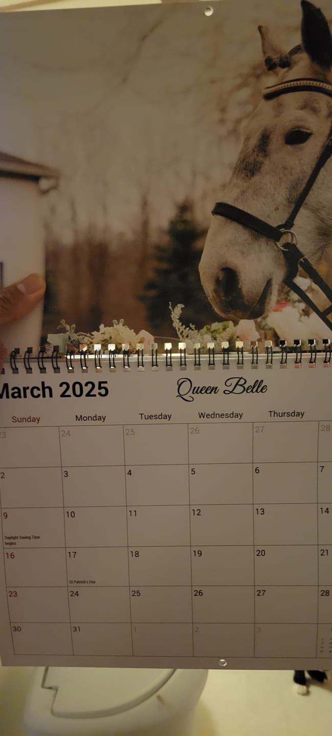 Customer photo review of Free Spirit Equestrian 2025 Calendar
