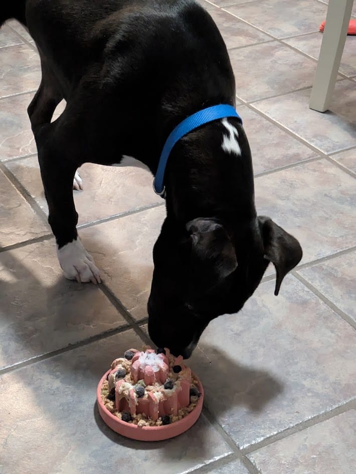 Customer photo review of FreezLava Heavy-Duty Enrichment Chew