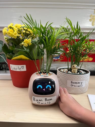 Customer photo review of Smart Pet Planter