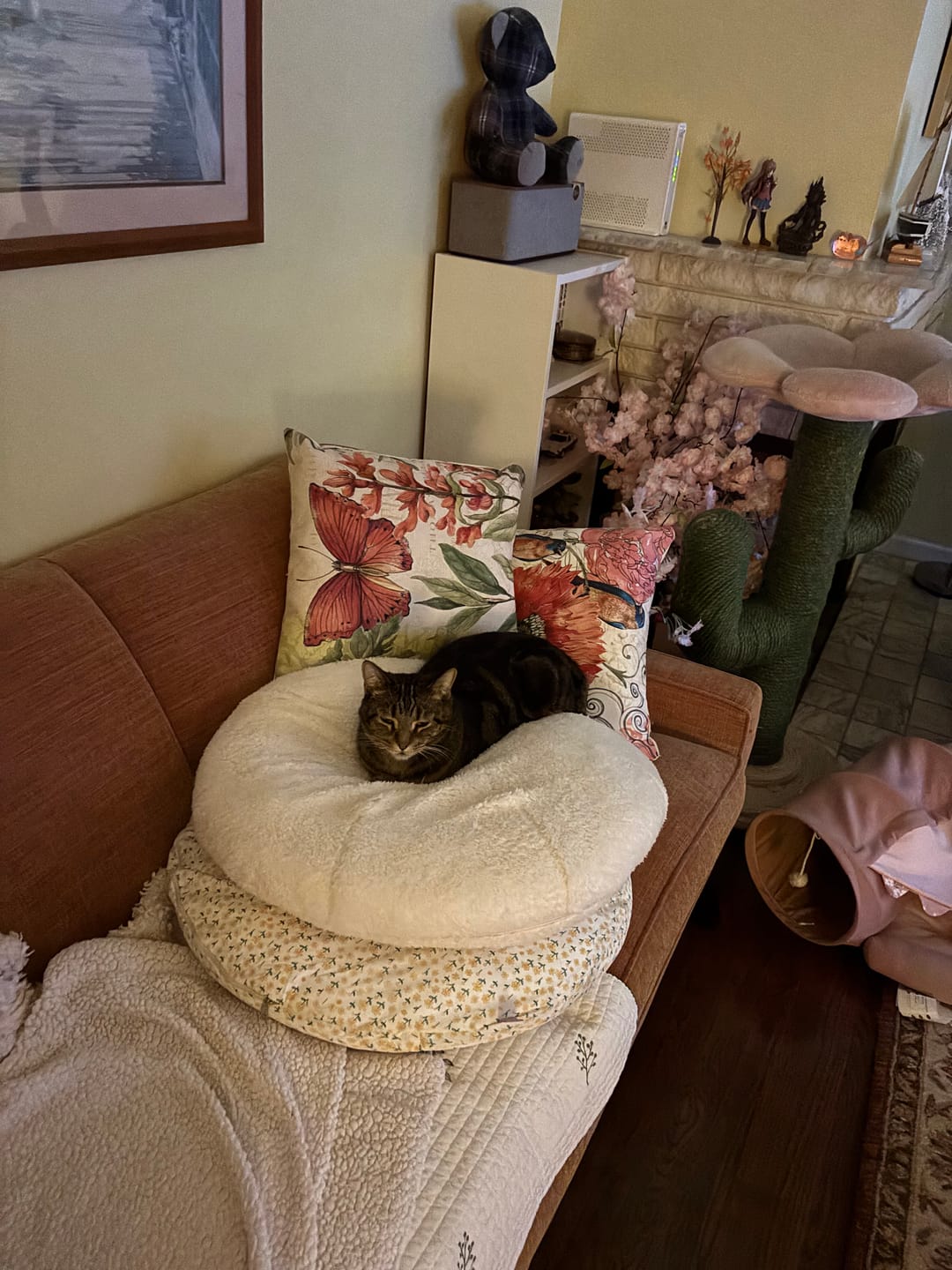 Customer photo review of Marshmallow Pudding Bed