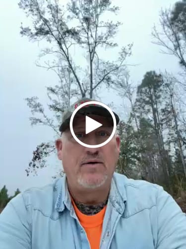 Customer video review of Free Shipping✈️Personalized Jurassic Dinosaur Name Custom Blanket