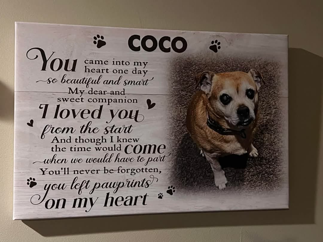 Customer photo review of Personalized Dog Memorial Gifts - Personalized Canvas Prints - You Left Pawprints On My Heart, Memorial Pet, Loss Of Dog Lover Gifts