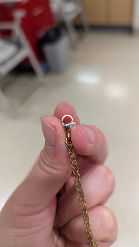 Customer photo review of Work of Art Necklace - Gold