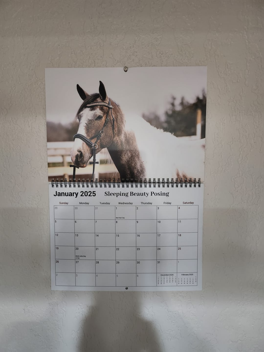 Customer photo review of Free Spirit Equestrian 2025 Calendar