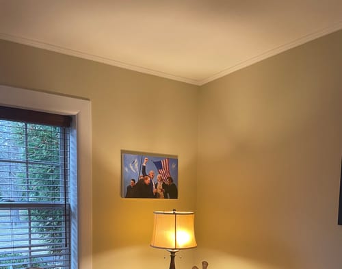 Customer photo review of United We Stand - Print