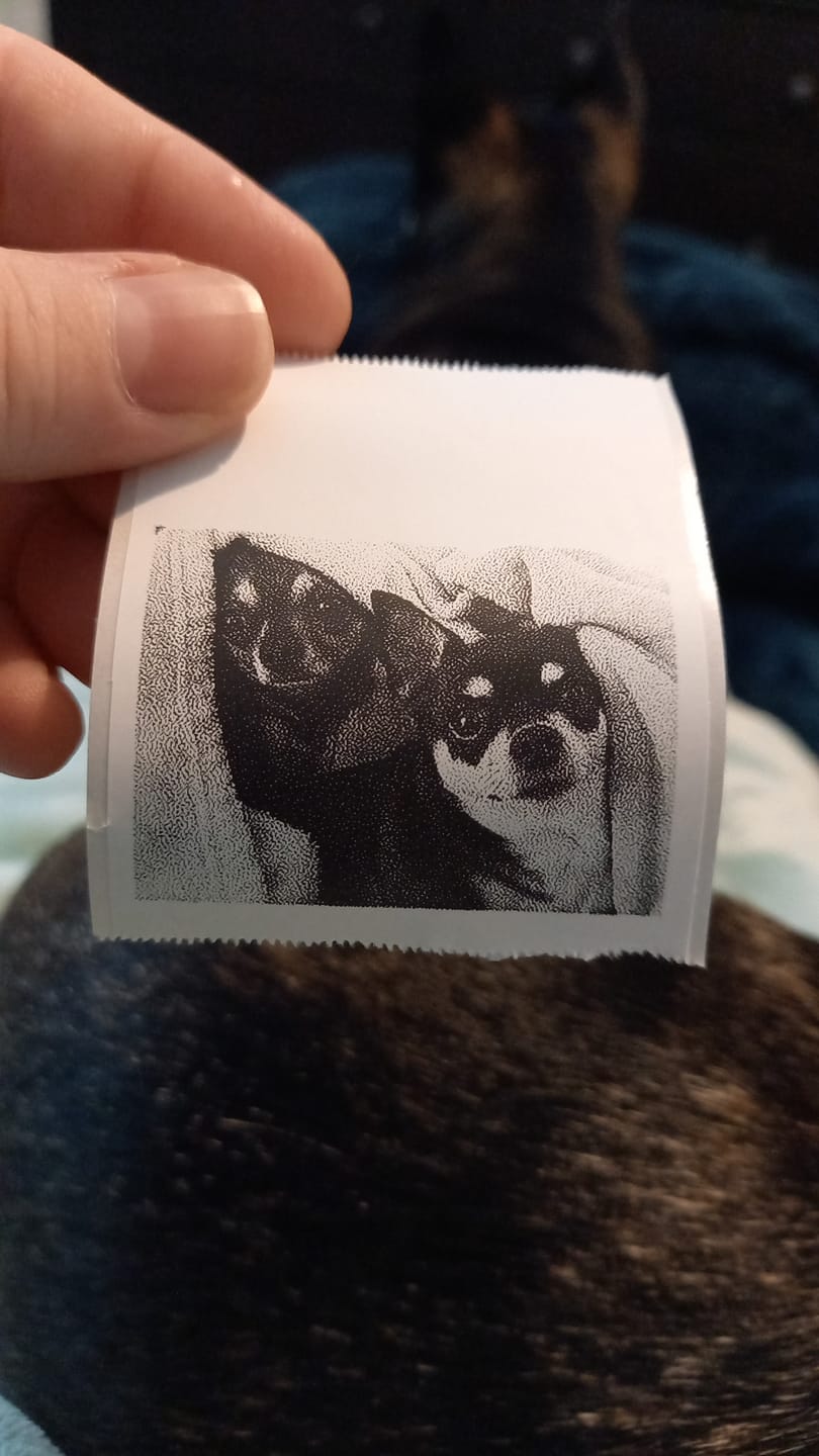 Customer photo review of thermal sticker paper - white
