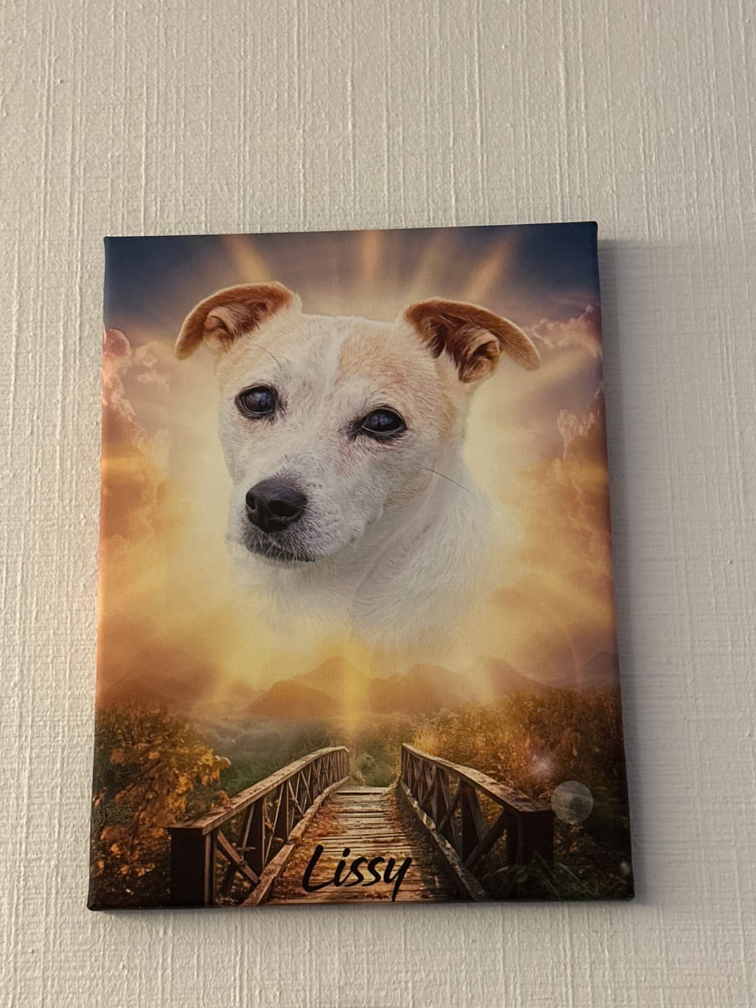 Customer photo review of Personalisiertes Portrait - Sonnen Stil