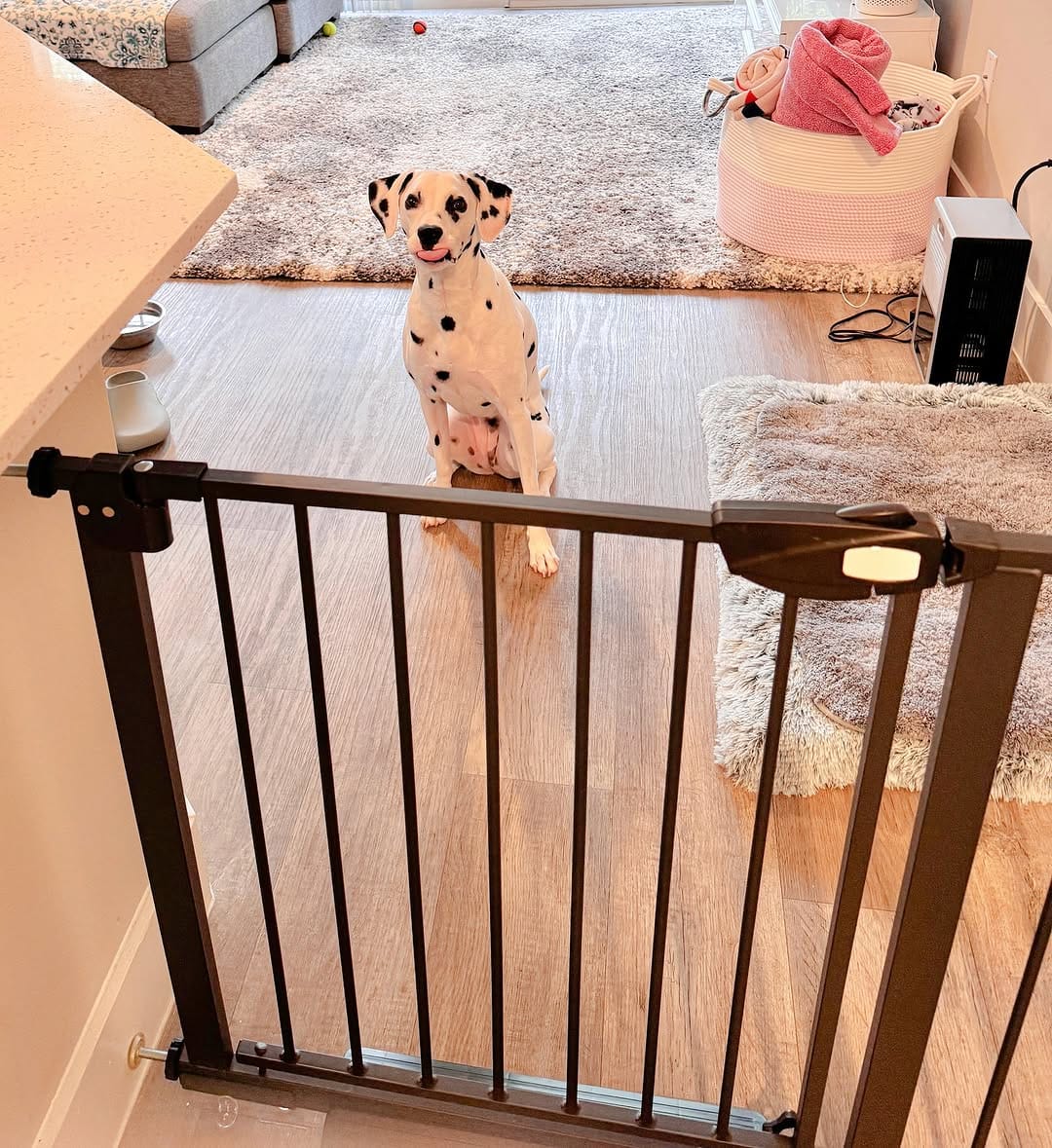 Customer photo review of FairyBaby 30"/ 36.6" Tall Safety Gate, with Dual-Direction Swing and One-Way Setting Control