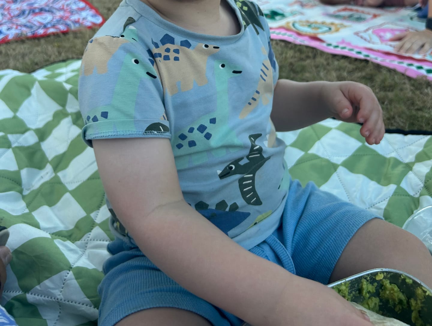 Customer photo review of Parker picnic rug