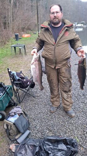 Customer photo review of DELUXE LIQUIDS 250ml