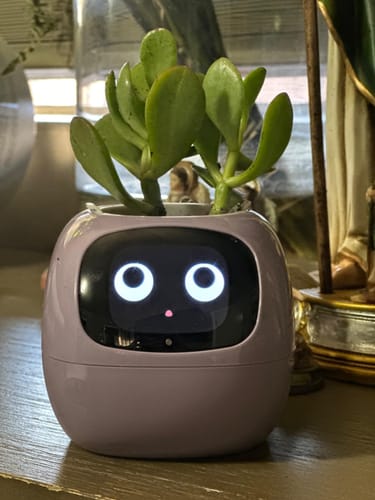 Customer photo review of Smart Pet Planter