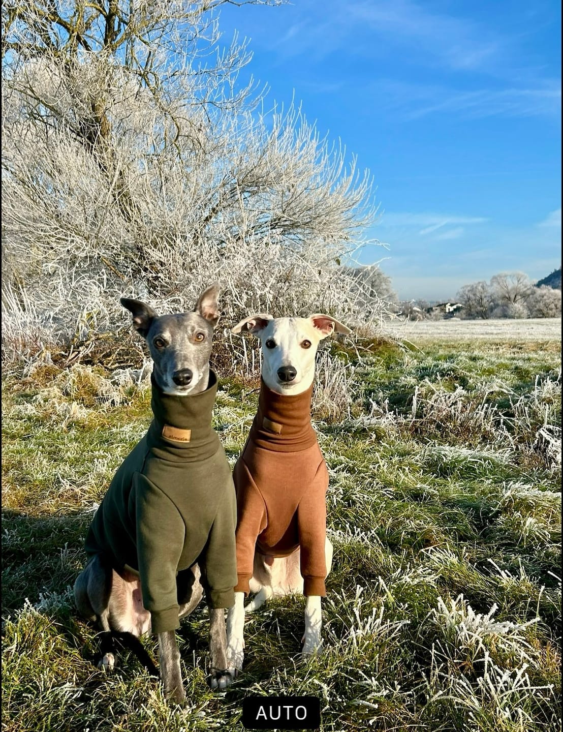 Customer photo review of Aspen "Mountain Green"