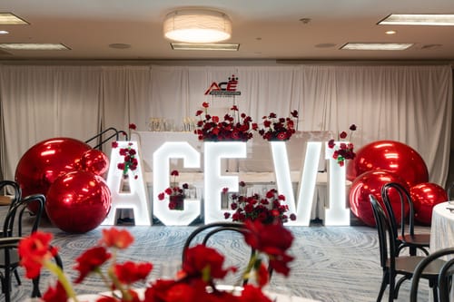Customer photo review of Red Inflatable Mirror Ball Reusable Big Bubble Balloon