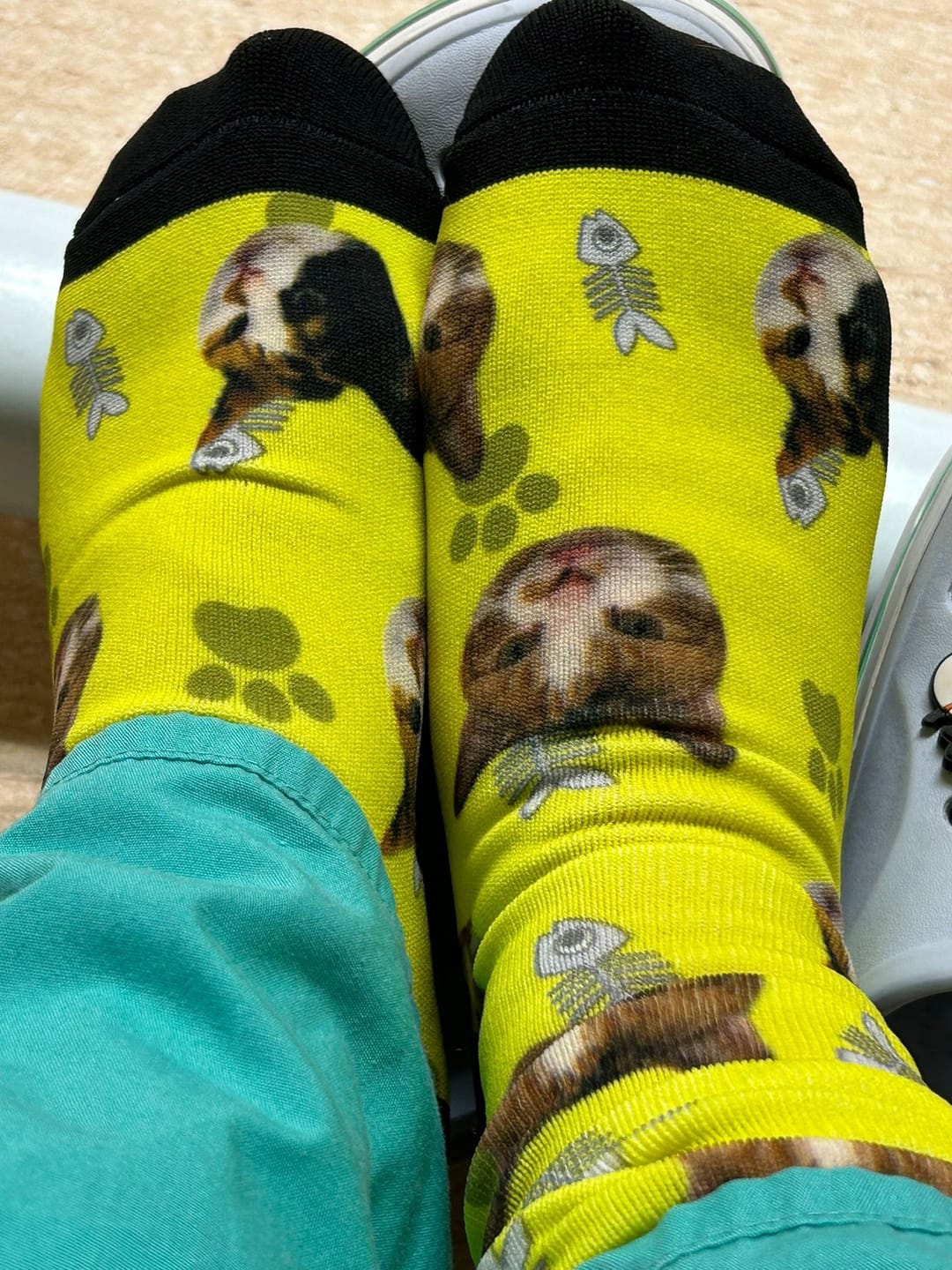 Customer photo review of FaceSock | Custom Cat Socks With Photo