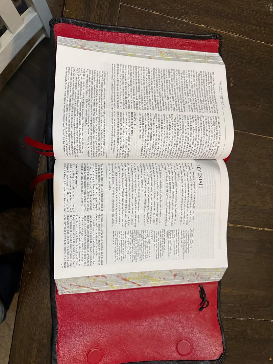 Customer photo review of Nappa Lamb