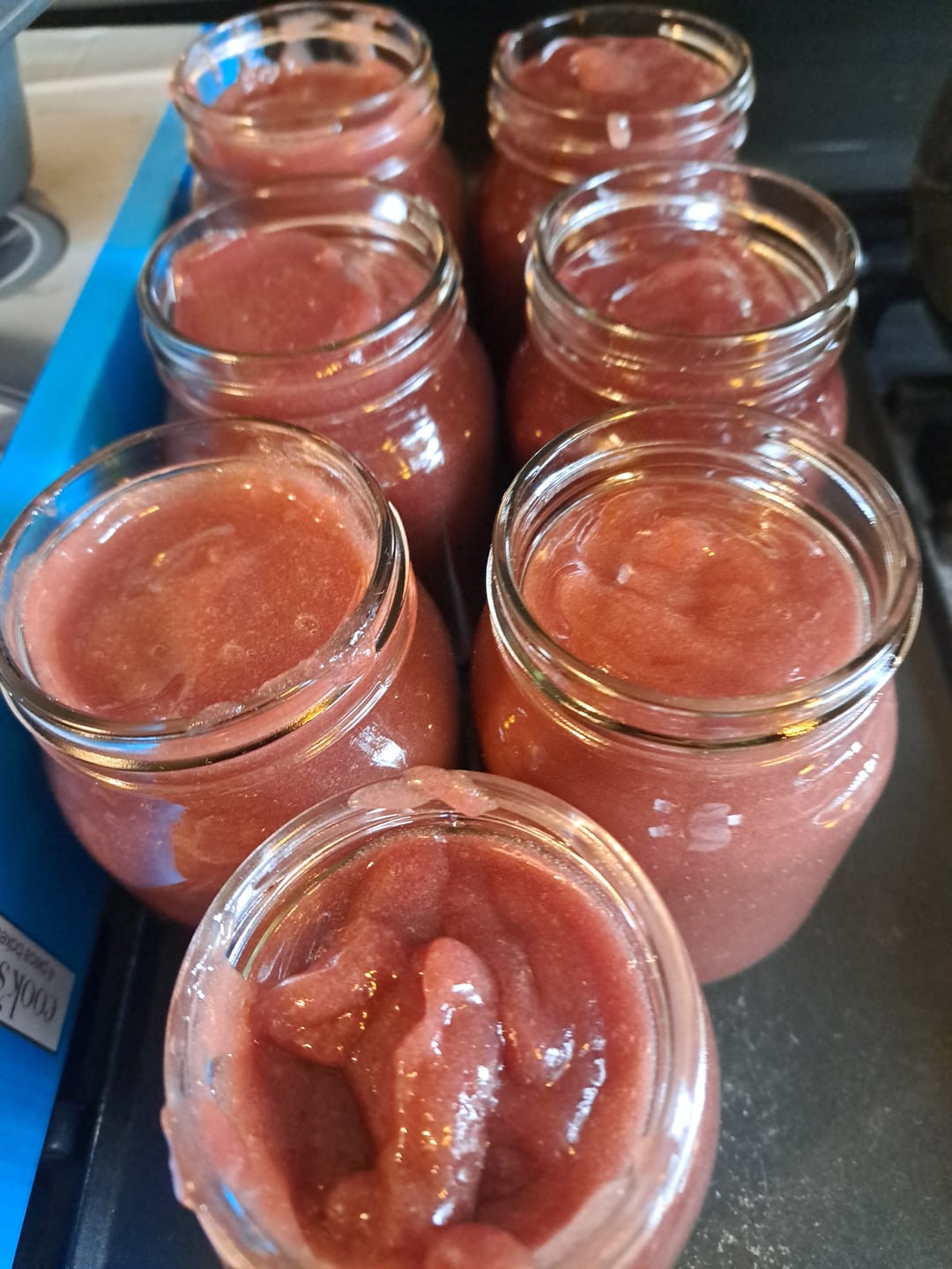 Customer photo review of Raw Wildcrafted Sea Moss 4oz