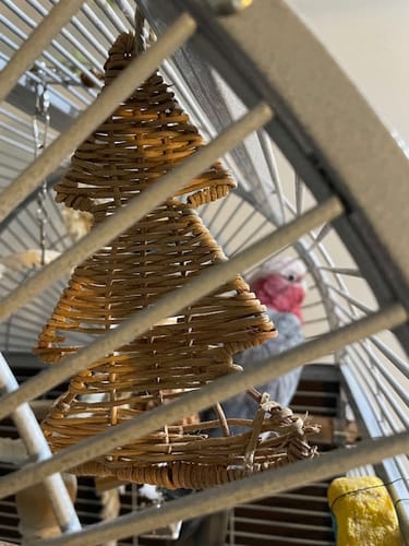 Customer photo review of Rattan Weihnachtsbaum