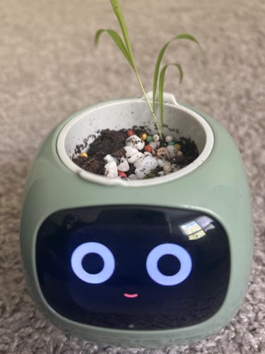 Customer photo review of Smart Pet Planter