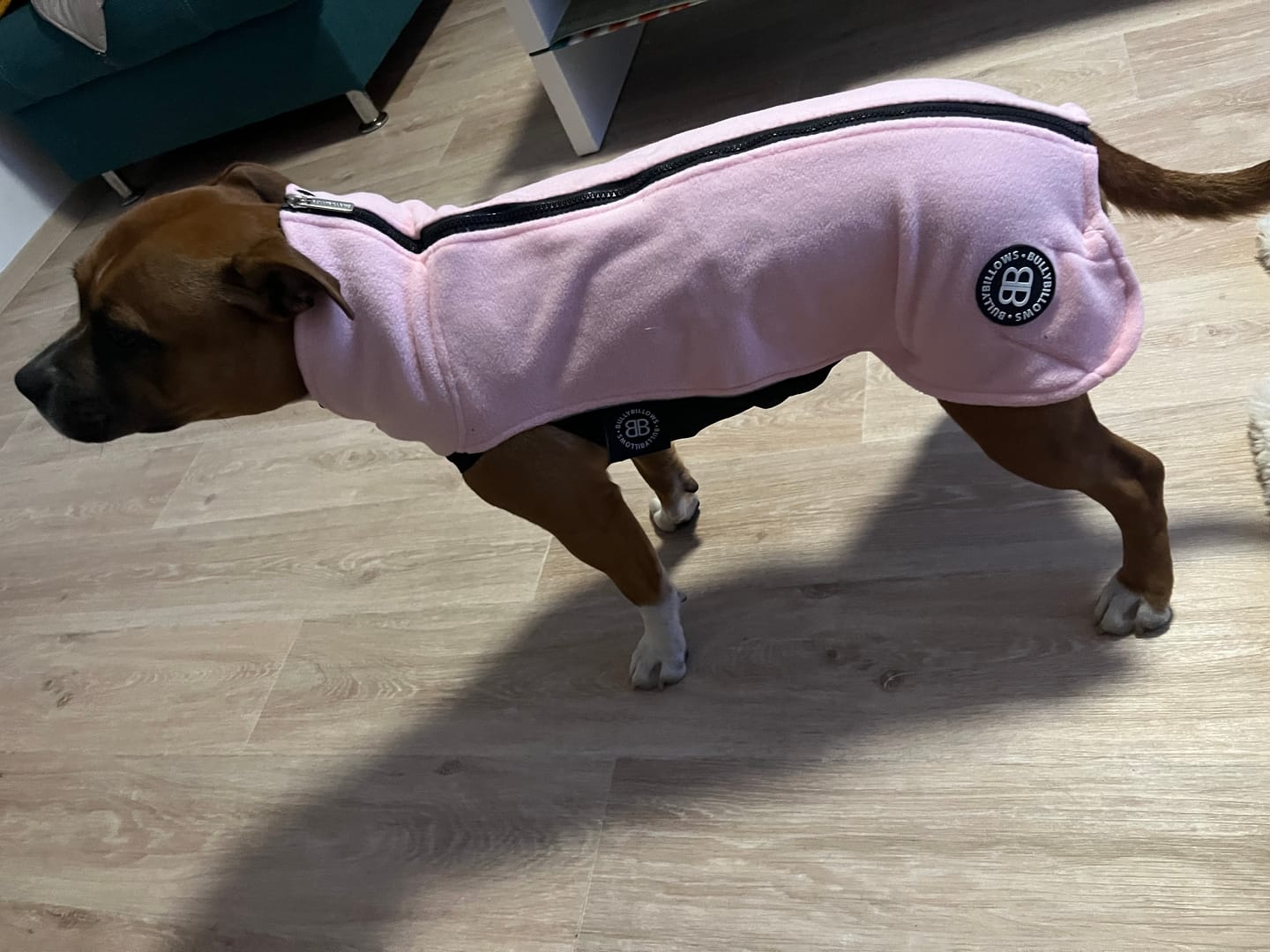 Customer photo review of Dog Fleece With Zip - Pink