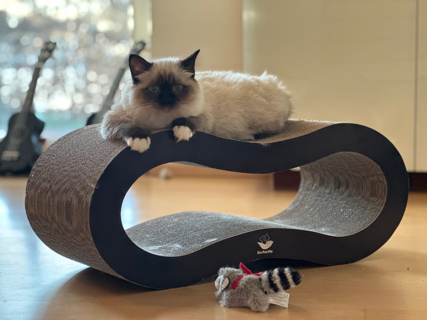 Customer photo review of Kratzmöbel Infinity Lounge L