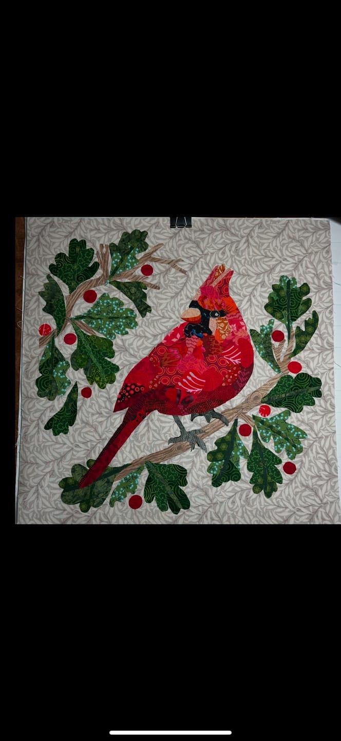 Customer photo review of Winter Cardinal Complete Kit