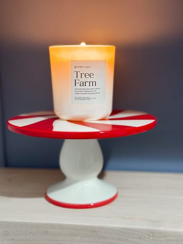 Customer photo review of Tree Farm Candle