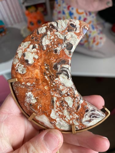 Customer photo review of KiKi Live Capsules (Live Only)