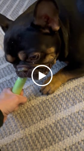 Customer video review of MIX FLAVORED (strawberry, banana, mint, & pumpkin): A PACK OF 4 STICKS
