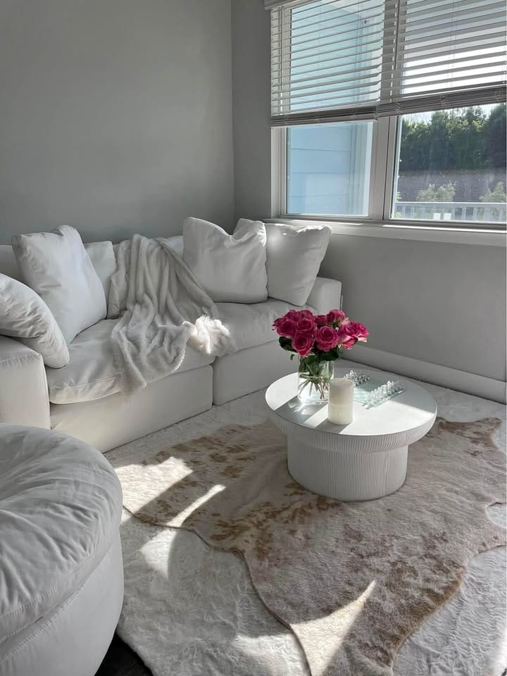 Customer photo review of Cloud Classic Modular | Customizable Corner Sofa Feather Down