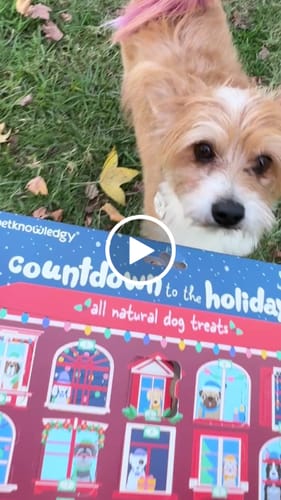 Customer video review of Count Down to the Holidays Advent Calendar