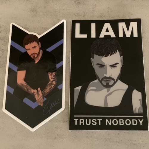 Customer photo review of 100 - 3.5" Custom Vinyl Stickers