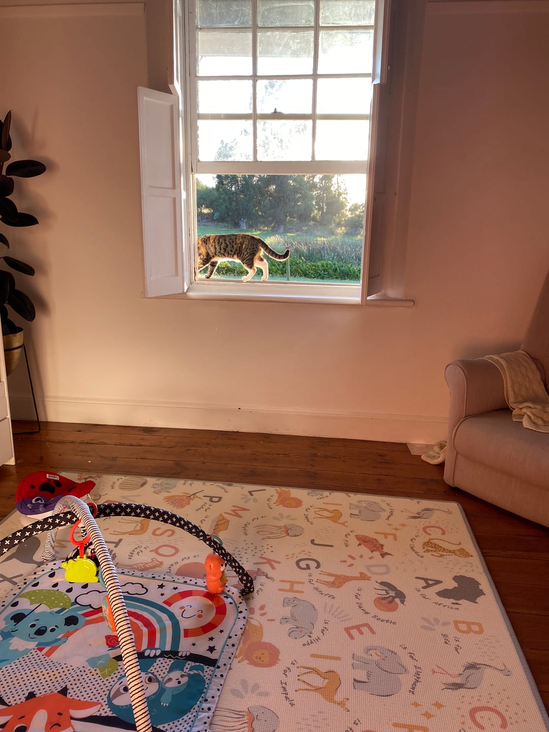 Customer photo review of ABC Africa/ World Map Play Mat