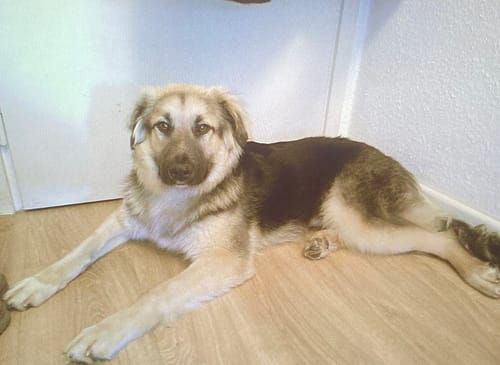 Customer photo review of NUVINT - Digitalkamera