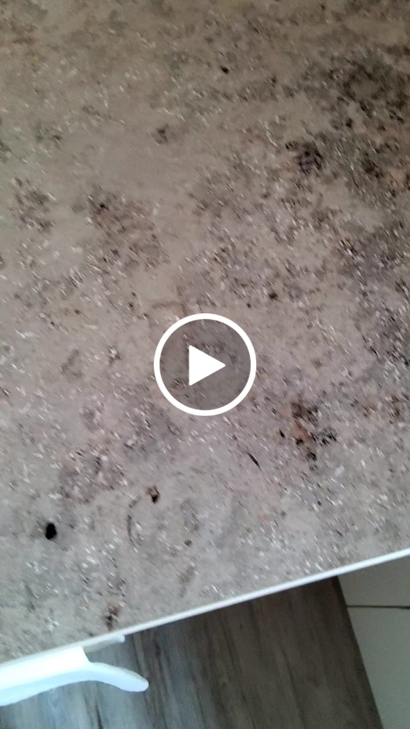 Customer video review of Espresso „Ohne Bumms“ - entkoffeiniert