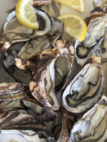 Customer photo review of Fresh NZ Oyster Box (Half-Shell)