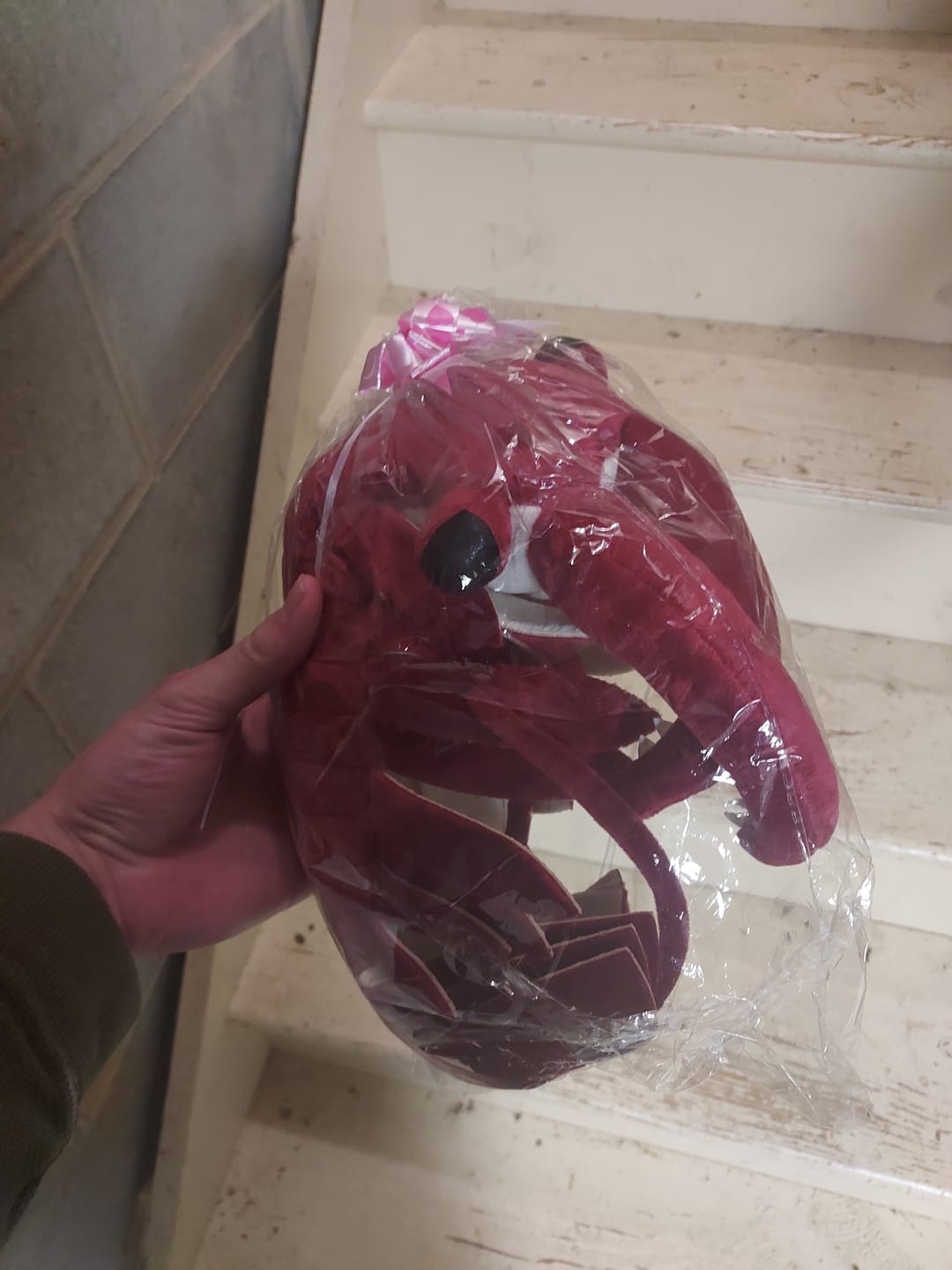 Customer photo review of Anomalocaris Arthropod Soft Stuffed Plush Toy