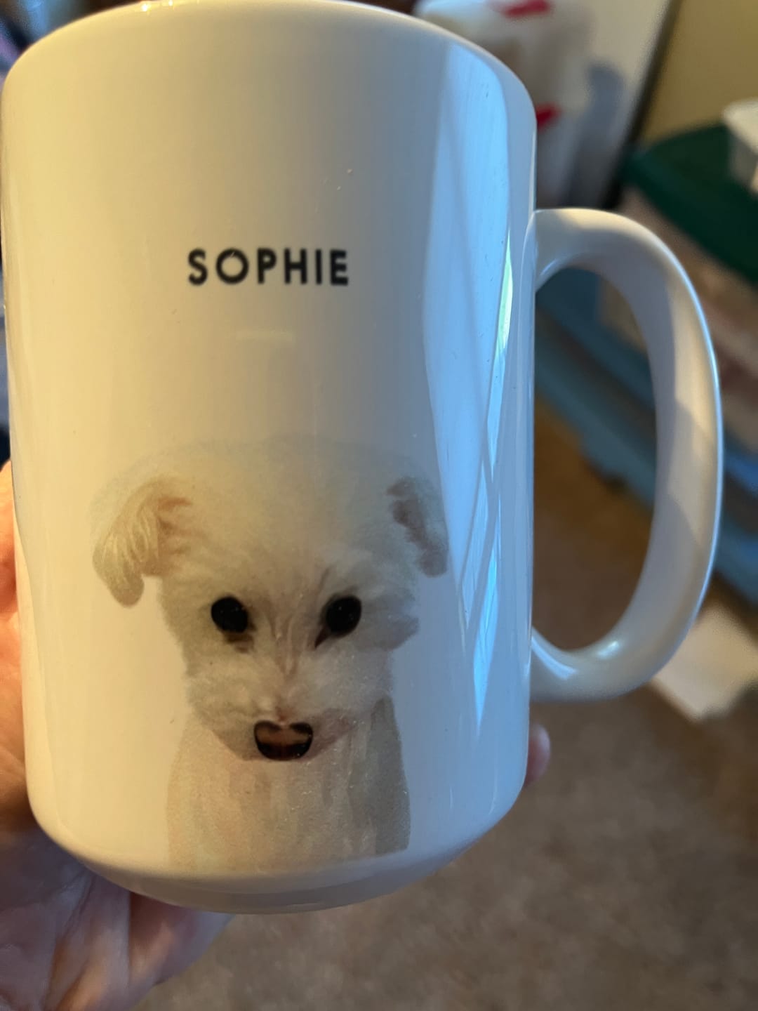 Customer photo review of Custom Pet Portrait Mug