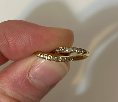 Customer photo review of Eternity Hoop Earrings