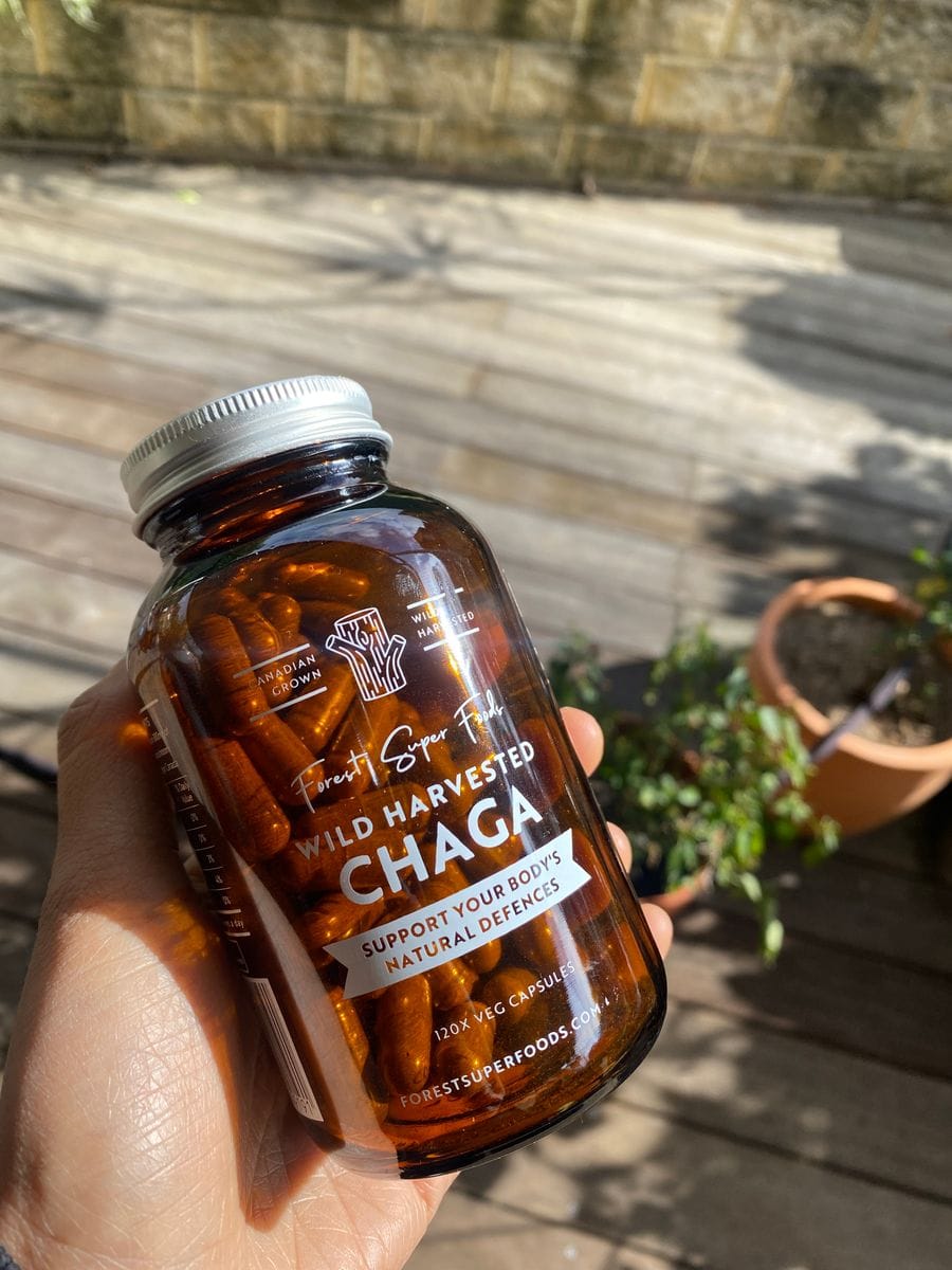 Customer photo review of Wild Chaga Mushroom (Canada)