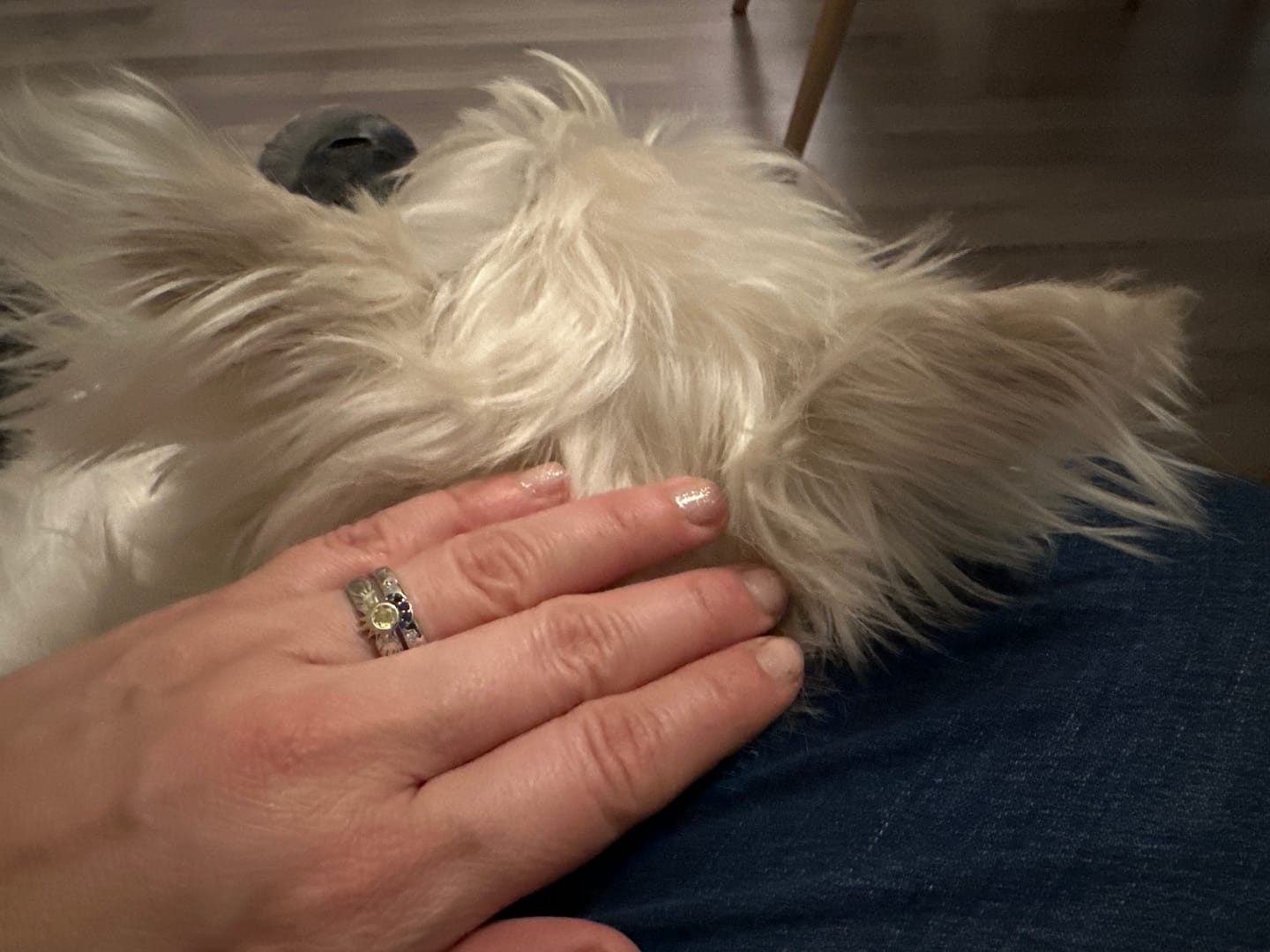 Customer photo review of Anillo Sol & Luna