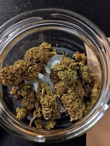 Customer photo review of 😶‍🌫️ Amnesia Haze - Power LVL: 5/5