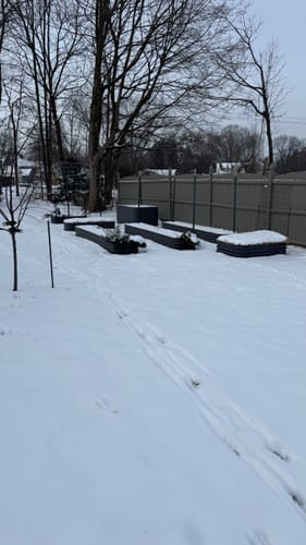 Customer photo review of Round Short Metal Raised Garden Bed