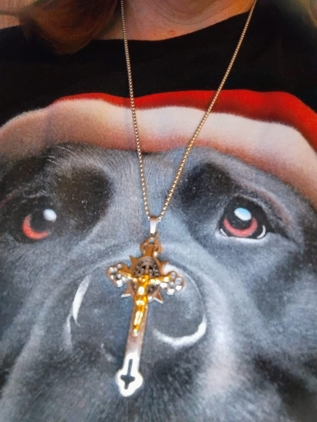 Customer photo review of FREE Today: St. Benedict Symbol Crucifix Exorcism Necklace