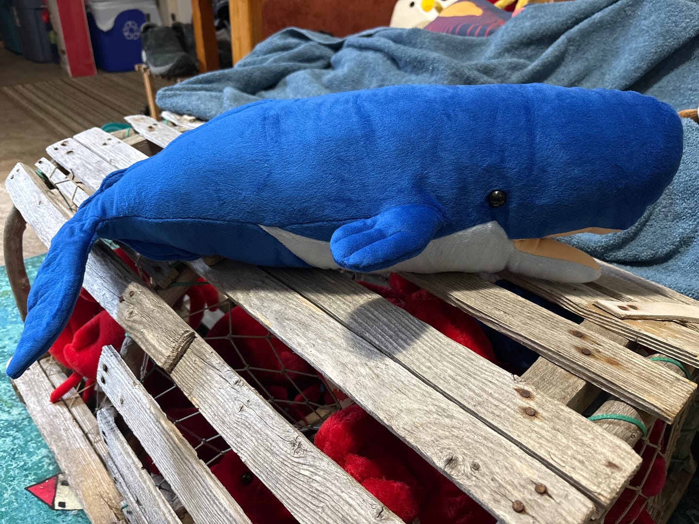 Customer photo review of Sperm Whale Stuffed Soft Plush Toy