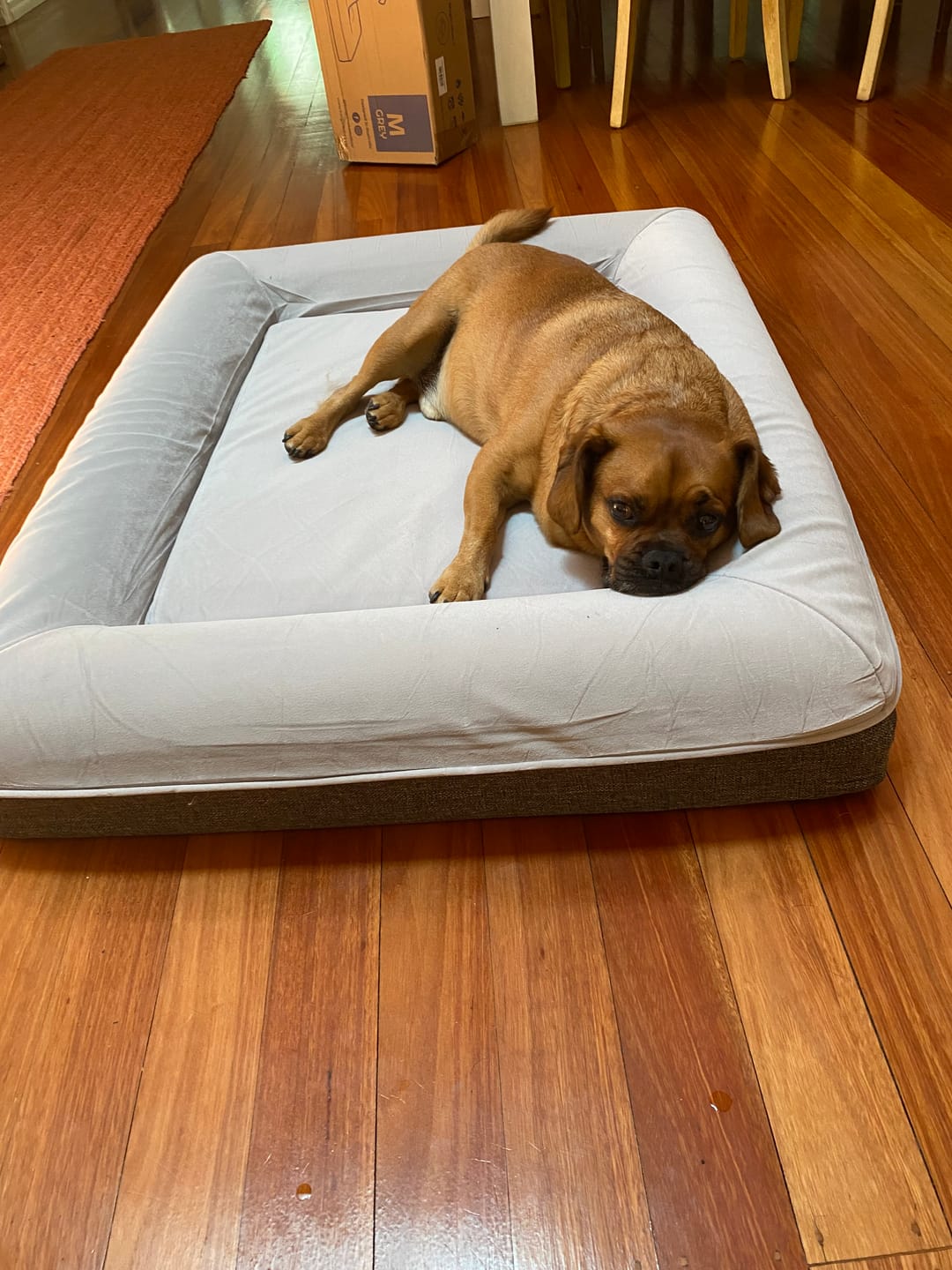 Customer photo review of Kangaroo Bed - Medium