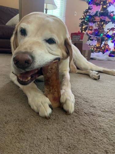 Customer photo review of Smoked Beef Marrow Bone